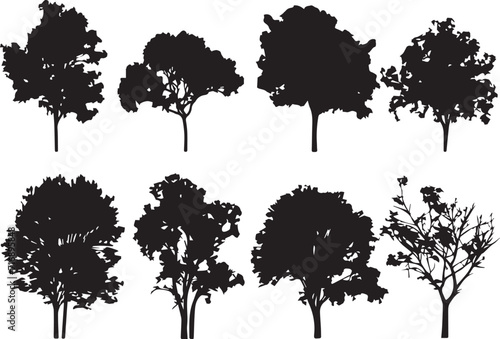 Set Trees. Hand drawn vector illustration 