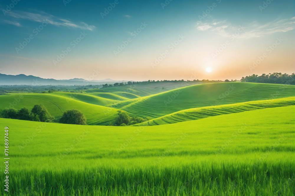 Obraz premium Image of vast, lush green field under bright, clear sky