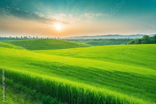 Image of vast  lush green field under bright  clear sky