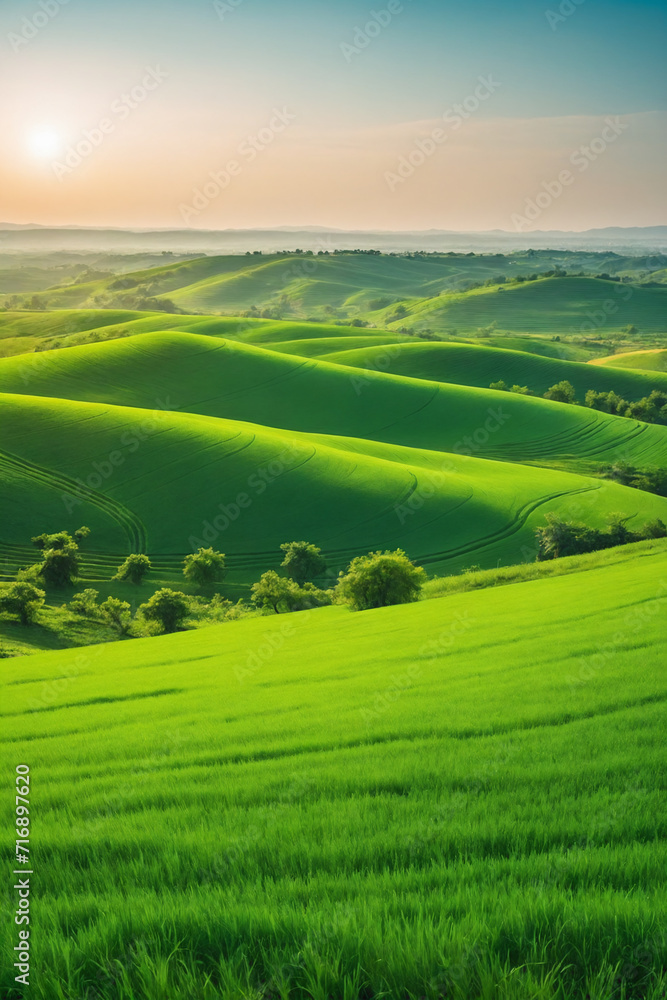 Image of vast, lush green field under bright, clear sky Image of vast, lush green field under bright, clear sky