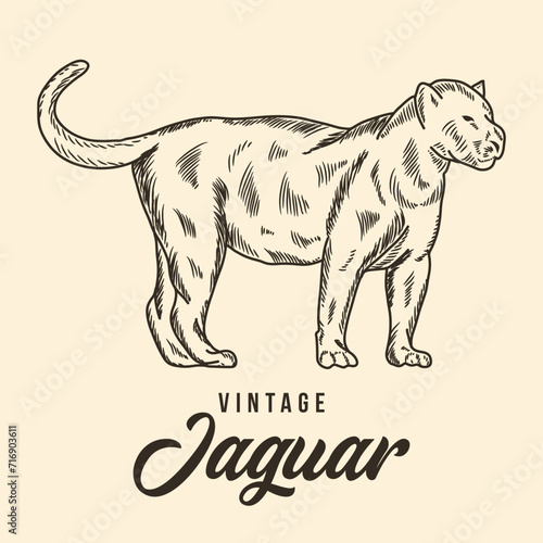 Vintage Hand Drawing Jaguar Sketch Vector Stock Illustration