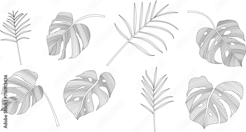 Set of hand drawn tropical leaves. Black and white absrast illustration collection. Set of hand drawn tropical leaves. Black and white absrast illustration collection.