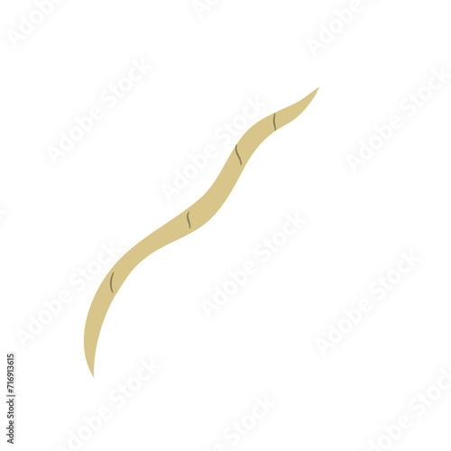 Parasitic Worm Vector
