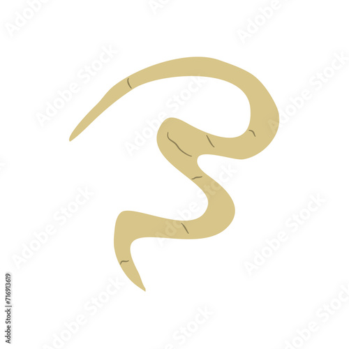 Parasitic Worm Vector