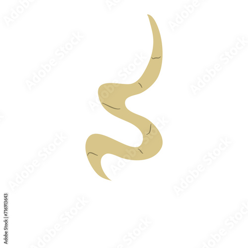 Parasitic Worm Vector