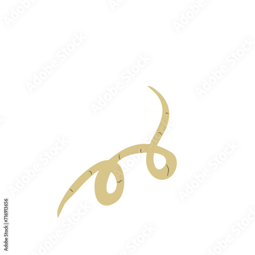 Parasitic Worm Vector