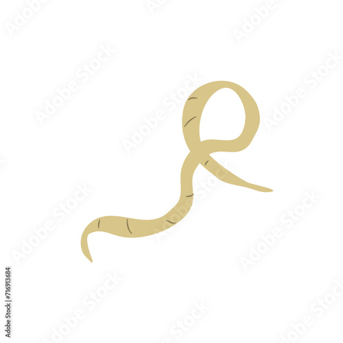Parasitic Worm Vector