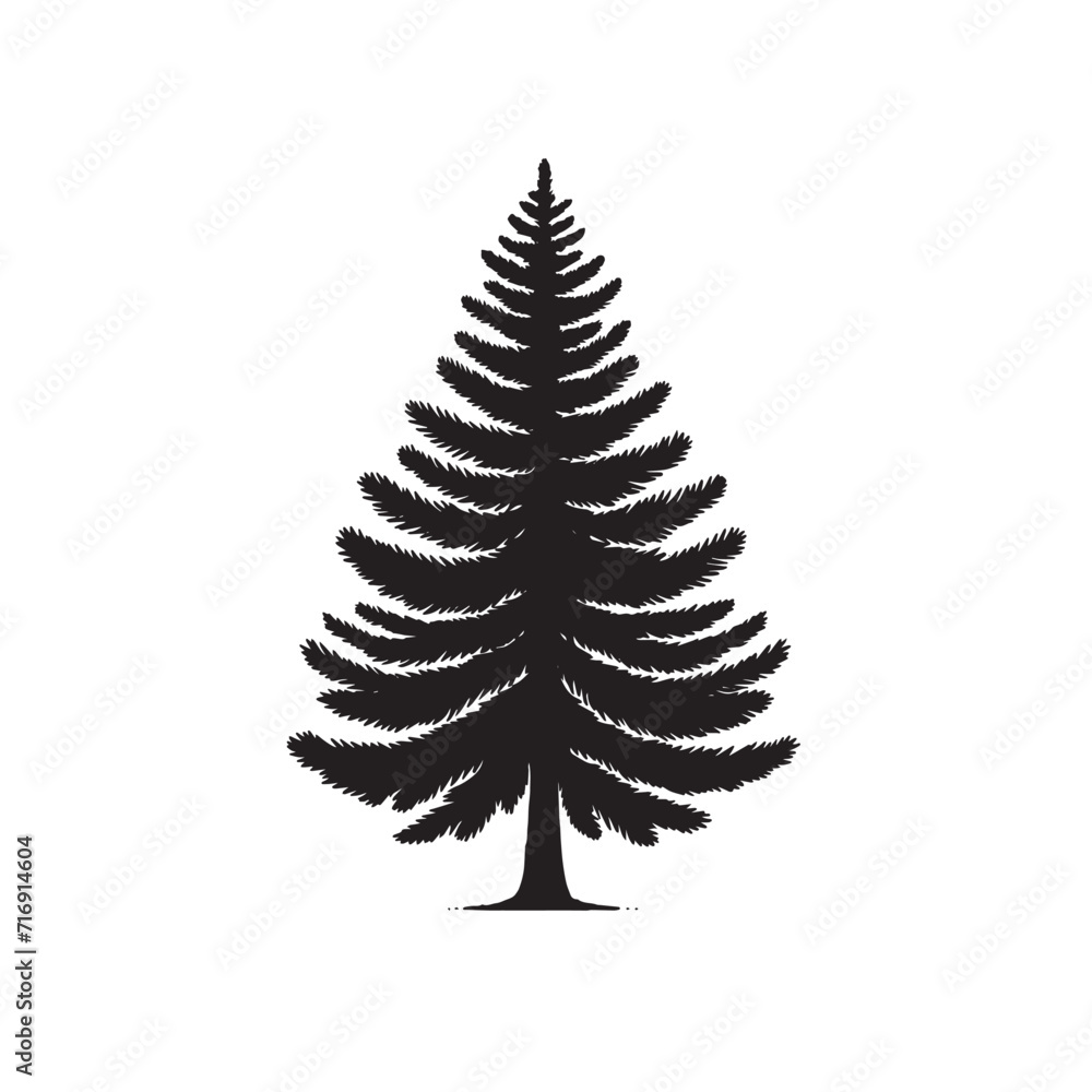 Pine trees silhouettes Pine trees silhouettes