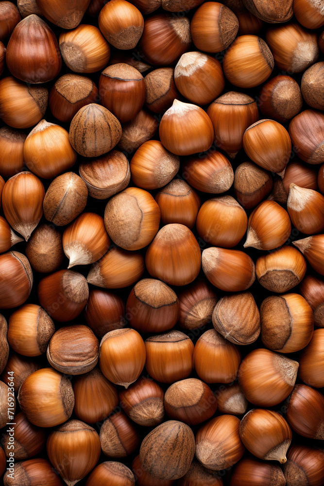 Top view hazelnuts with shell texture Top view hazelnuts with shell texture