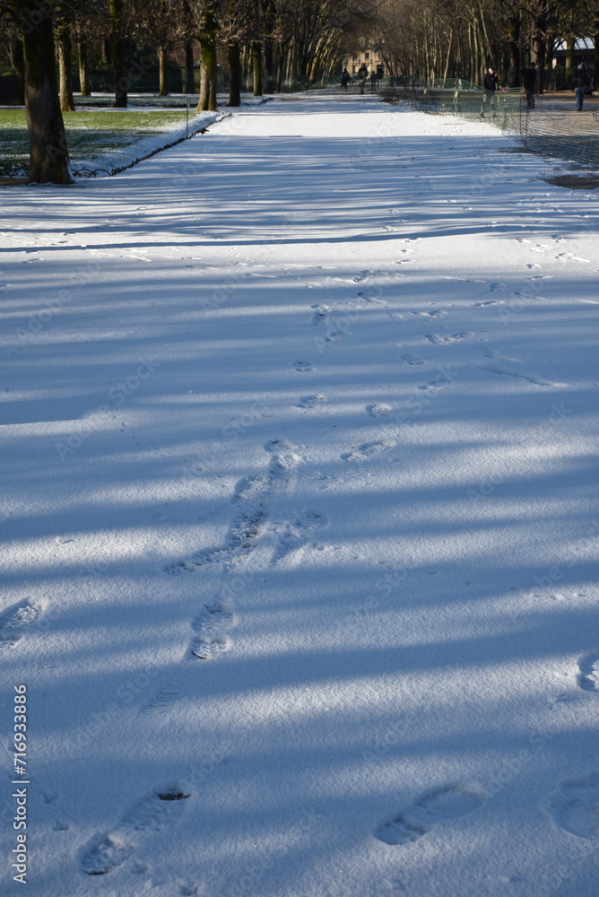 Obraz premium Allée enneigée au jardin du Luxembourg en hiver à Paris. France