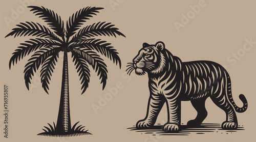 Tiger and palm tree. Vintage retro black engraving illustration. Icon, logo, emblem. Isolated object