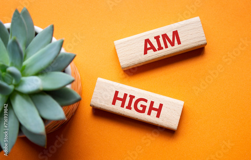 Aim High symbol. Wooden blocks with words Aim High. Beautiful orange background with succulent plant. Business and Aim High concept. Copy space.