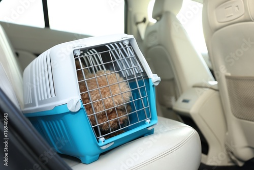 Cute dog in pet carrier travelling by car. Space for text