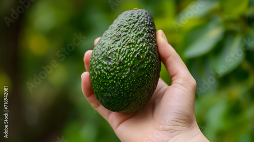 A hand holding a perfectly ripe avocado ready to be eaten. photo