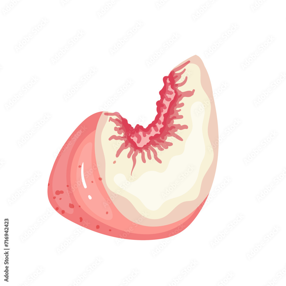A piece of ripe, juicy peach and nectarine fruit. Vector graphics. A piece of ripe, juicy peach and nectarine fruit. Vector graphics.