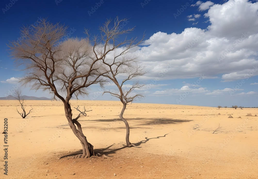 Climate change withered tree and dry earth Climate change withered tree and dry earth