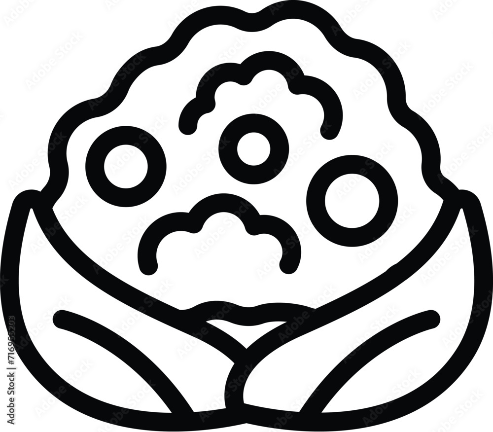 Mixed cauliflower icon outline vector. Vitamin food. Salad agronomy Mixed cauliflower icon outline vector. Vitamin food. Salad agronomy