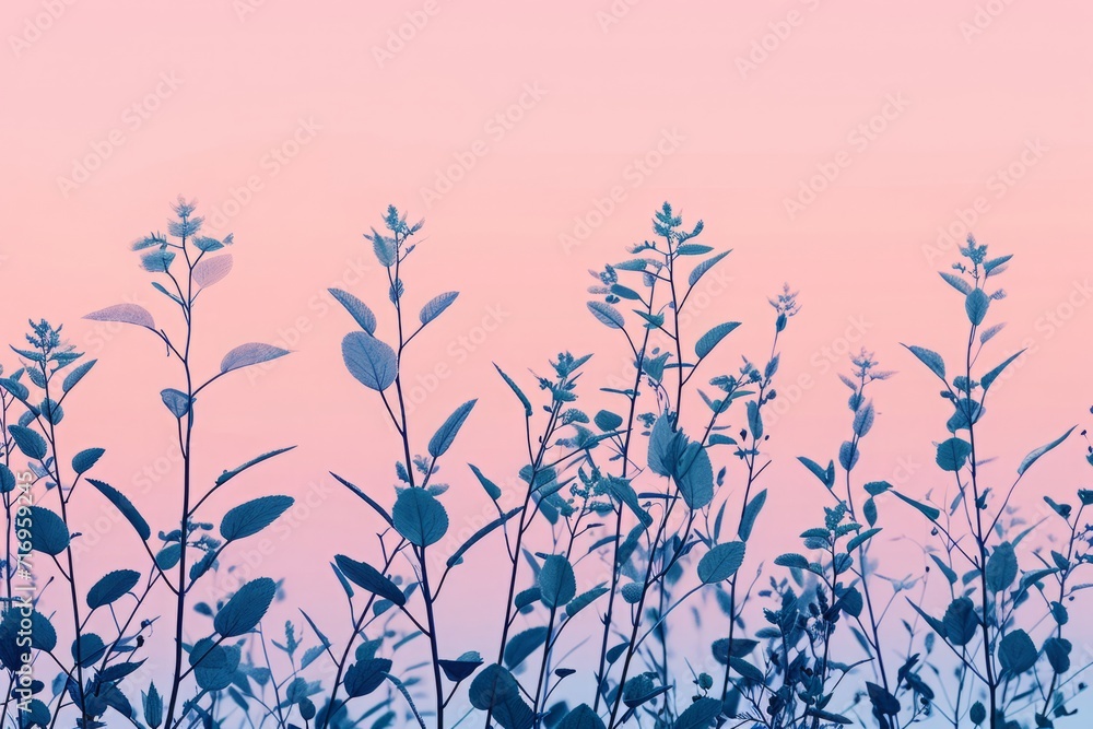 Silhouetted flora against a soft pink sky, offering a tranquil scene for peaceful and reflective themes in design.