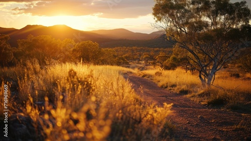 A picturesque view of the sun setting over a scenic dirt road. Ideal for nature and landscape themes