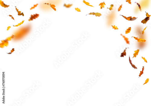 leaves falling in the wind png overly on white background