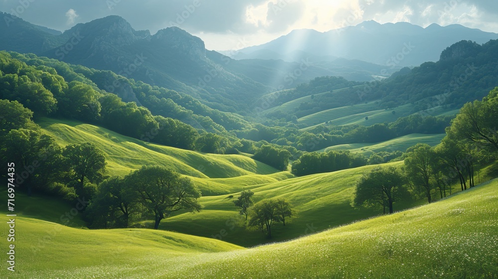 Fototapeta premium Green panorama of the mountains