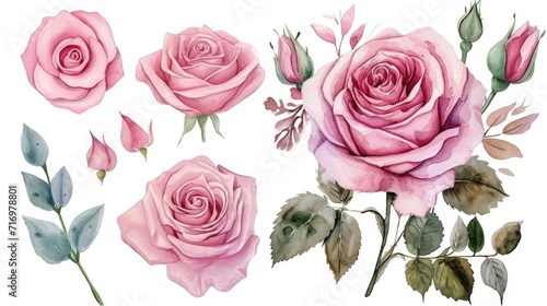 A bunch of pink roses on a white background. Perfect for floral arrangements and wedding decorations photo