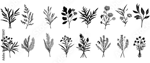 Fototapeta Naklejka Na Ścianę i Meble -  Vector plant set of botanical flowers and herbs. Ink drawings of plants for diy projects, greeting cards, wedding invitations. Isolated hand drawn floral sketch of botany doodle flowers for stationary
