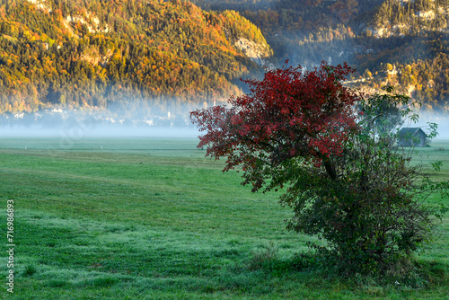 wafts of fog in the mountains of Austria photo