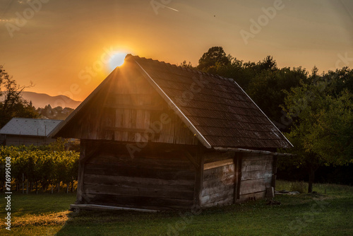 Beautiful sunset in the vineyard of the village with a wooden house