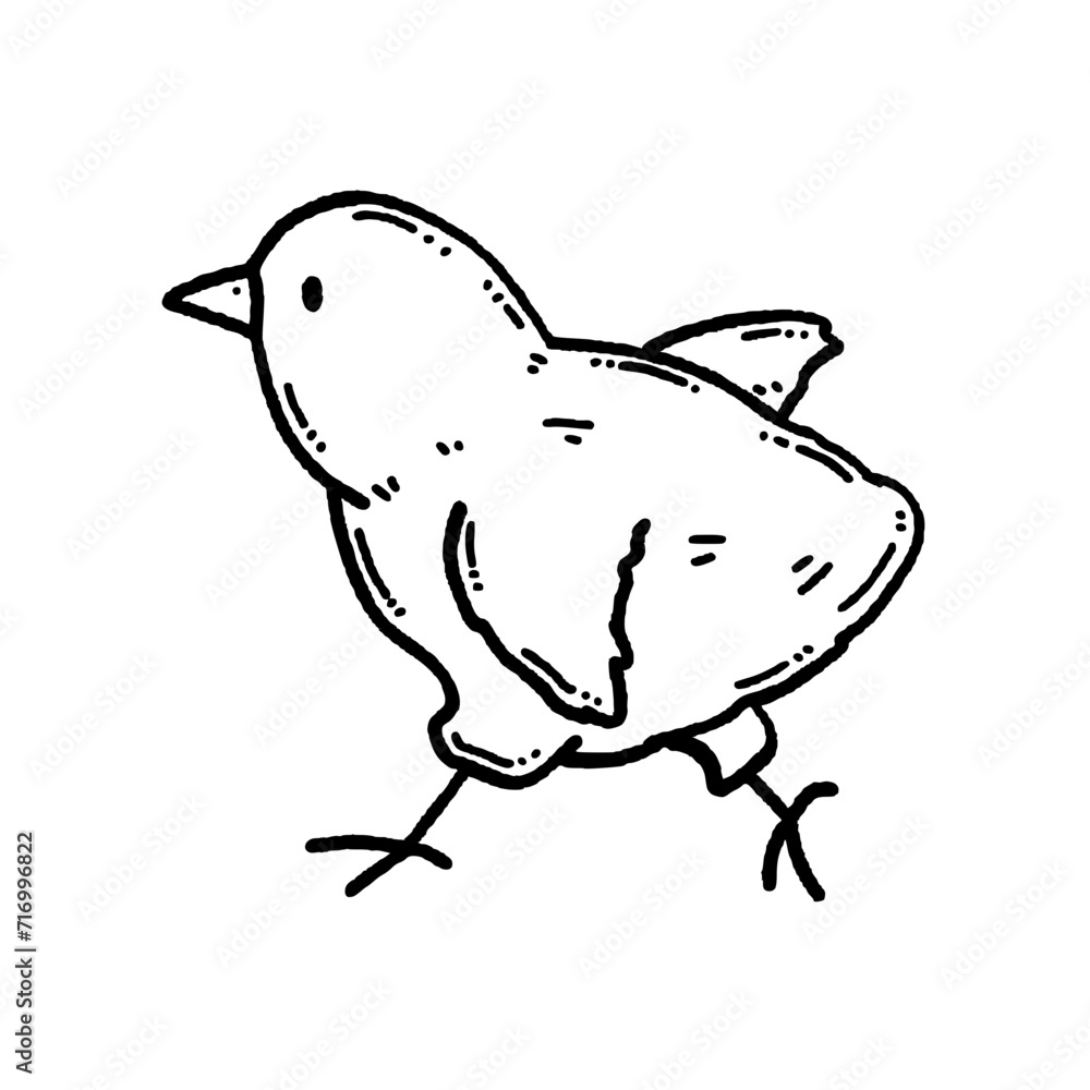 Obraz premium svg chicken doodle element set