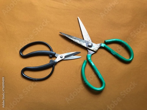 Set of Two Unusual Scissors