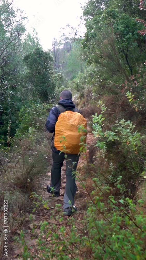 Slow motion, back view to a hiker walking with raincoat, by a path on a rainy day Slow motion, back view to a hiker walking with raincoat, by a path on a rainy day