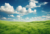 Nature's Canvas: Beautiful Grassy Fields and Summer Blue Sky with Fluffy White Clouds Dancing in the Wind – A Breathtaking Scene in Wide Format