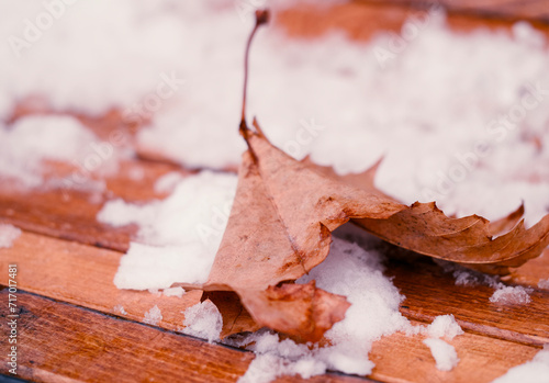 a pile of dried leaves