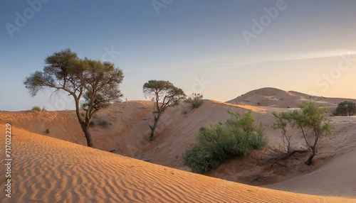 sand dunes in the desert