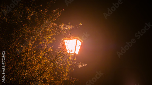 A roadside lamp gives a warm glow in the foggy night