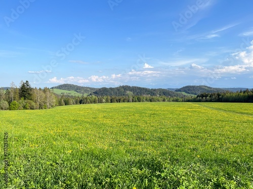 Picturesque landscape with field and blue sky