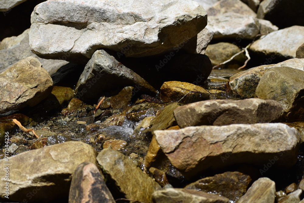 water in a mountain stream in the Carpathians