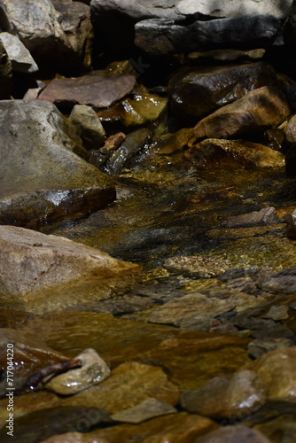 water in a mountain stream in the Carpathians