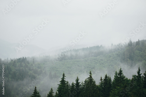 Mountains after the rain. Water from the forest evaporates. precipitation in the mountains. rain in the forest. Carpathians. Wet
