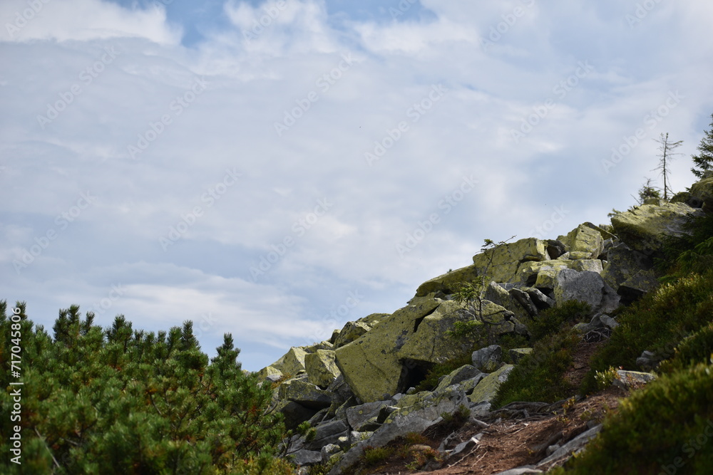 mountains, fog, forests, valleys. Carpathians. Mountains covered with forests and various conifers. At the top of the mountain boulders. mountains, fog, forests, valleys. Carpathians. Mountains covered with forests and various conifers. At the top of the mountain boulders.