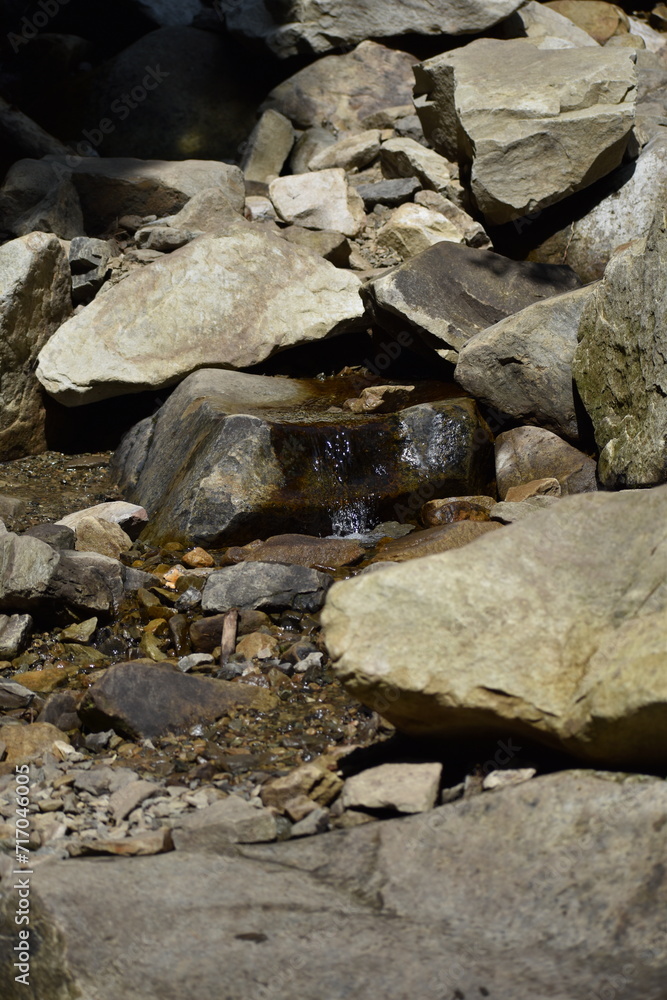 water in a mountain stream in the Carpathians water in a mountain stream in the Carpathians