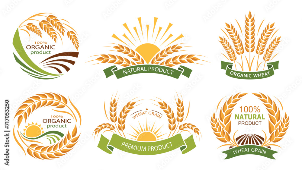 Wheat ears icons. Set of vector organic product labels. Grain, ear of wheat and wreath. Organic wheat, bread agriculture and natural eat, barley or rice millet. Isolated. Vector illustration - obrazy, fototapety, plakaty 