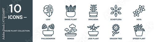 house plant collection. outline icon set includes thin line leaf, snake plant, dracaena, schefflera, hoya, philodendron, bonsai icons for report, presentation, diagram, web design
