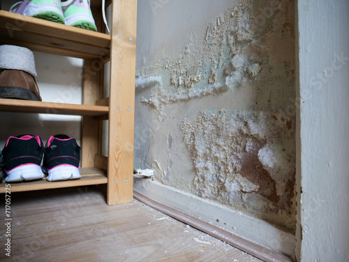 Fluffy white mould on internal wall inside of footwear storage closet, paint cracking and flakes falling on the floor. photo