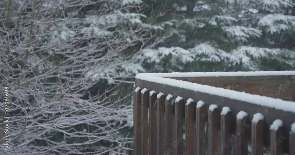 Snowflake accumulation snow covered guard rail tree coniferous medium speed zoom in Snowflake accumulation snow covered guard rail tree coniferous medium speed zoom in