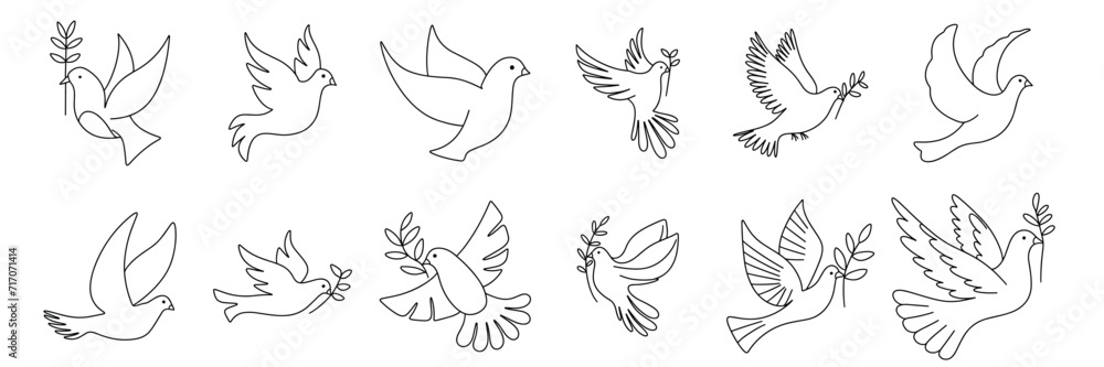 Collection doodle doves isolated on white background. Outline dove. Hand drawn vector art.