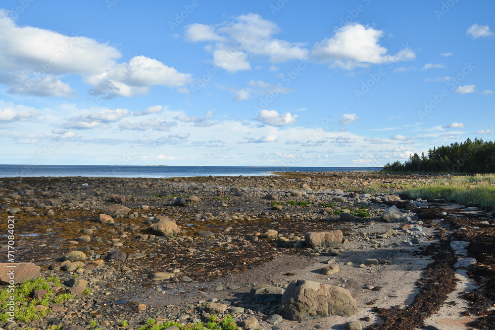 Karelian coast of the White Sea.