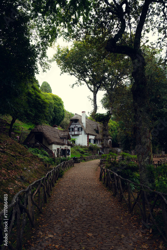 Casitas típicas de Madeira photo