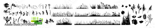 Foto A set of blades of grass